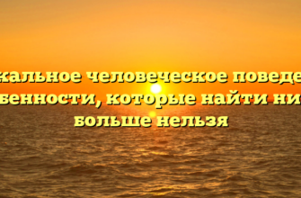 Уникальное человеческое поведение: особенности, которые найти нигде больше нельзя