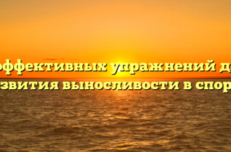 7 эффективных упражнений для развития выносливости в спорте