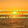 Актуальная информация о местонахождении и занятиях Васильева и Сердюкова сегодня