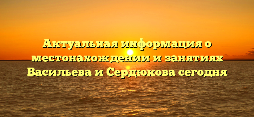 Актуальная информация о местонахождении и занятиях Васильева и Сердюкова сегодня