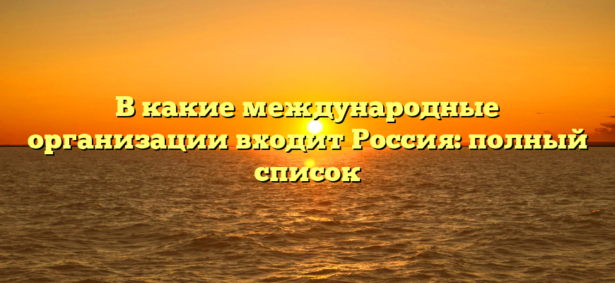 В какие международные организации входит Россия: полный список