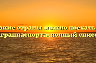 В какие страны можно поехать без загранпаспорта: полный список