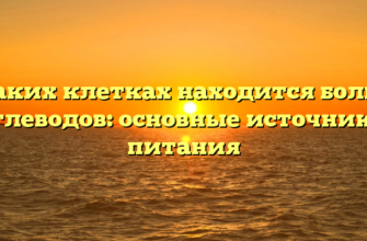 В каких клетках находится больше углеводов: основные источники питания