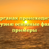 В каких органах происходит быстрая диффузия: основные факты и примеры