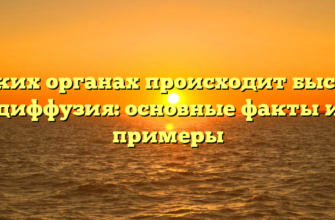 В каких органах происходит быстрая диффузия: основные факты и примеры