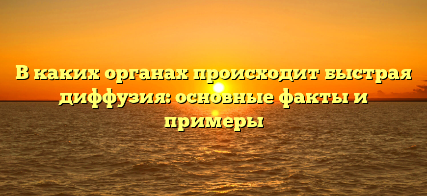 В каких органах происходит быстрая диффузия: основные факты и примеры