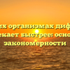 В каких организмах диффузия протекает быстрее: основные закономерности