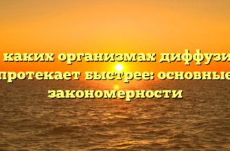 В каких организмах диффузия протекает быстрее: основные закономерности