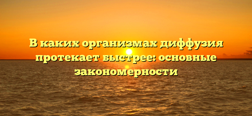 В каких организмах диффузия протекает быстрее: основные закономерности