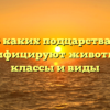 В каких подцарствах классифицируют животных на классы и виды