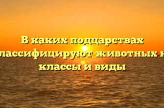 В каких подцарствах классифицируют животных на классы и виды