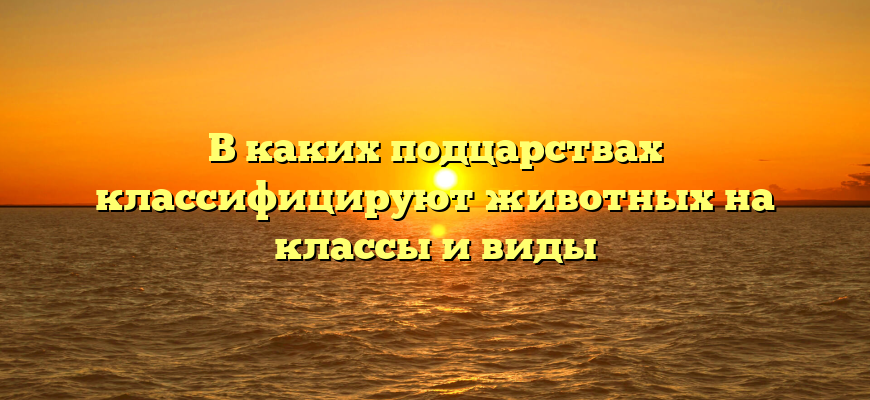 В каких подцарствах классифицируют животных на классы и виды