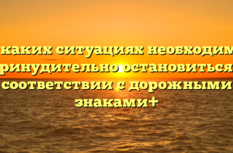 В каких ситуациях необходимо принудительно остановиться в соответствии с дорожными знаками+