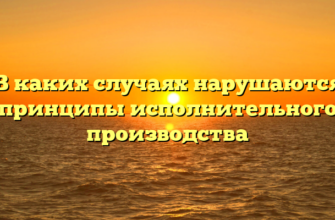 В каких случаях нарушаются принципы исполнительного производства