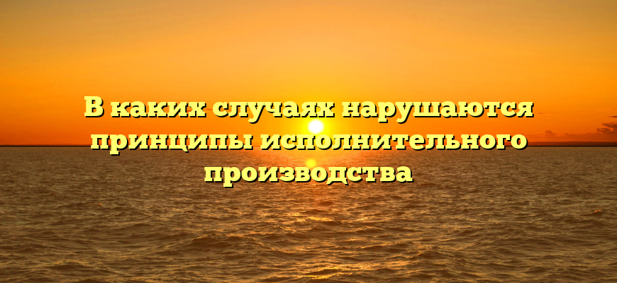 В каких случаях нарушаются принципы исполнительного производства