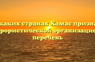 В каких странах Хамас признан террористической организацией — перечень