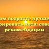 В каком возрасте лучше всего кастрировать кота: советы и рекомендации