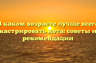 В каком возрасте лучше всего кастрировать кота: советы и рекомендации