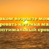 В каком возрасте можно кастрировать котенка мальчика оптимальный срок