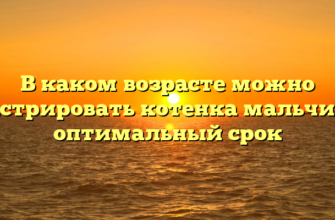 В каком возрасте можно кастрировать котенка мальчика оптимальный срок