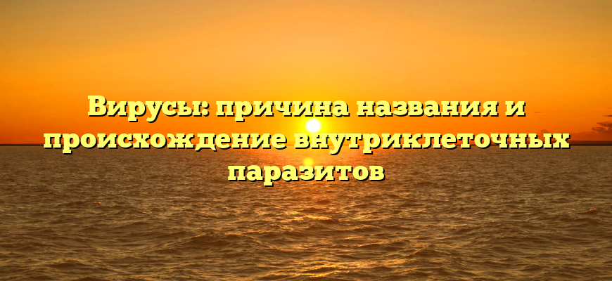 Вирусы: причина названия и происхождение внутриклеточных паразитов