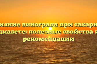 Влияние винограда при сахарном диабете: полезные свойства и рекомендации