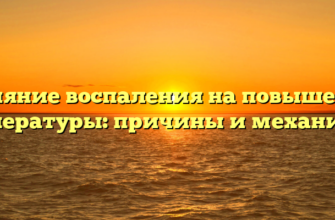 Влияние воспаления на повышение температуры: причины и механизмы