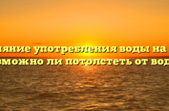 Влияние употребления воды на вес: возможно ли потолстеть от воды?