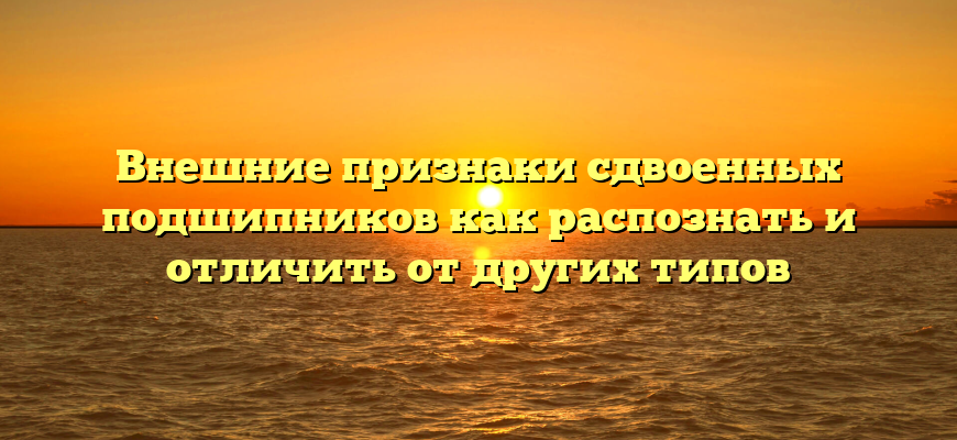 Внешние признаки сдвоенных подшипников как распознать и отличить от других типов