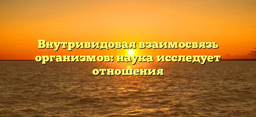 Внутривидовая взаимосвязь организмов: наука исследует отношения