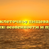 Внутриклеточное пищеварение у животных: особенности и принципы