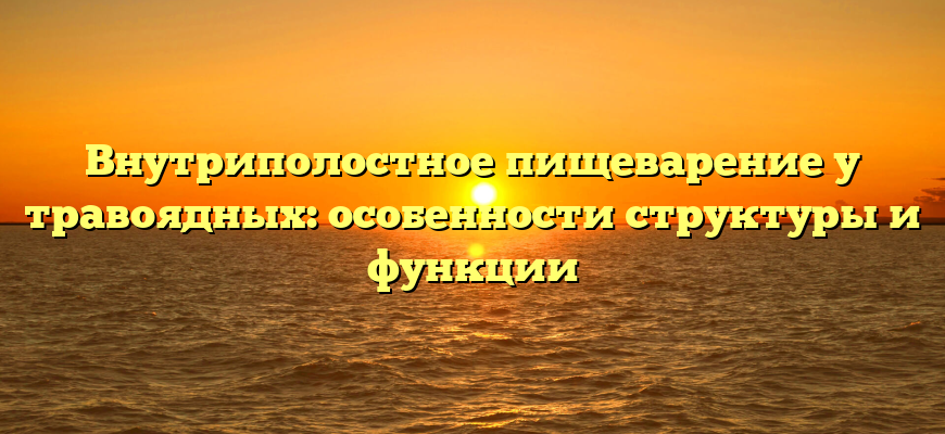 Внутриполостное пищеварение у травоядных: особенности структуры и функции