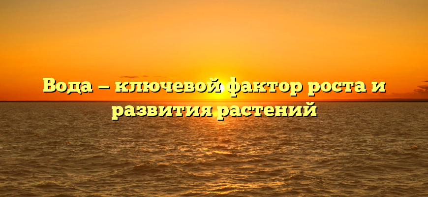 Вода — ключевой фактор роста и развития растений