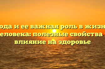 Вода и ее важная роль в жизни человека: полезные свойства и влияние на здоровье