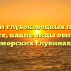 Водоросли глубоководных просторов: узнайте, какие виды обитают в морских глубинах