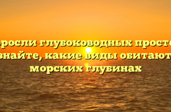 Водоросли глубоководных просторов: узнайте, какие виды обитают в морских глубинах