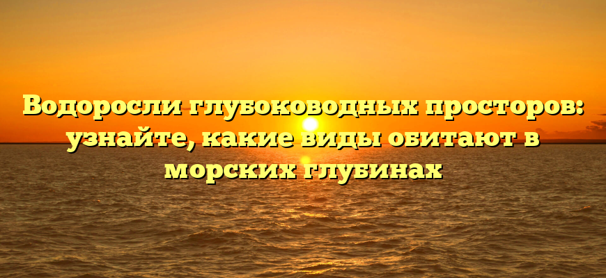 Водоросли глубоководных просторов: узнайте, какие виды обитают в морских глубинах