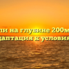 Водоросли на глубине 200м: виды и адаптация к условиям