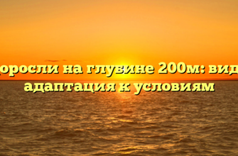 Водоросли на глубине 200м: виды и адаптация к условиям