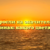 Водоросли на значительных глубинах: какого цвета они