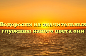 Водоросли на значительных глубинах: какого цвета они