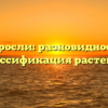 Водоросли: разновидности и классификация растений