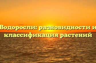 Водоросли: разновидности и классификация растений