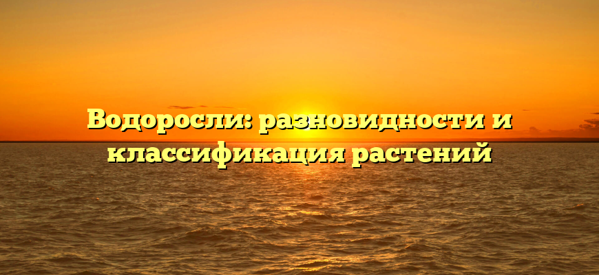 Водоросли: разновидности и классификация растений