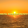 Водоросль немногоклеточная