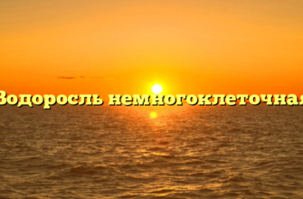 Водоросль немногоклеточная