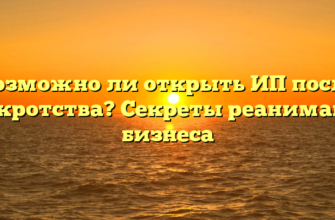 Возможно ли открыть ИП после банкротства? Секреты реанимации бизнеса