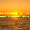 Возраст начала несения яиц у кур-несушек: подробности и советы