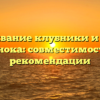 Выращивание клубники и посадка чеснока: совместимость и рекомендации