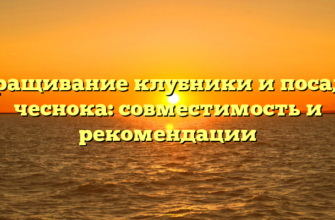 Выращивание клубники и посадка чеснока: совместимость и рекомендации